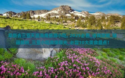阜新去三亚天涯海角旅游小吃 阜新去三亚天涯海角旅游小吃