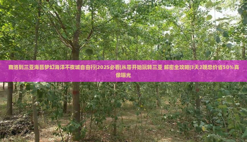 商洛出发三亚海昌梦幻海洋不夜城自由行