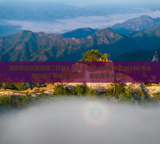 潍坊前往三亚后海二日游