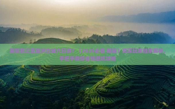襄樊出发三亚崖洲古城六日游