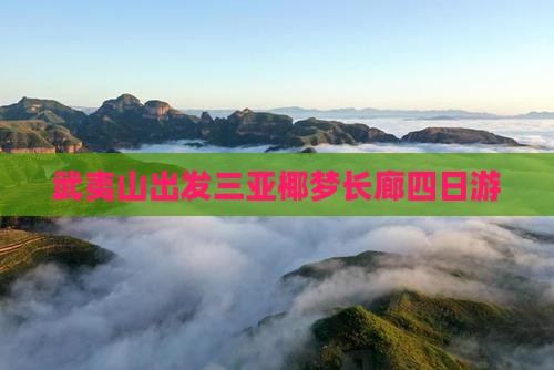武夷山出发三亚椰梦长廊四日游