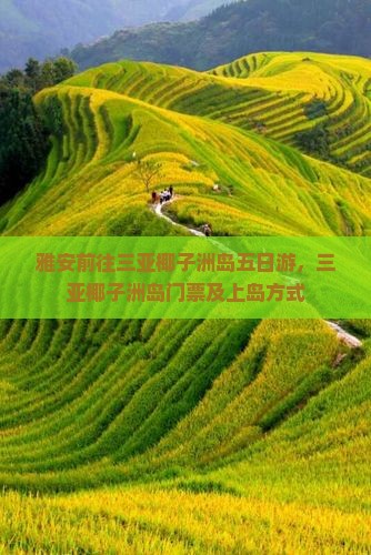 雅安前往三亚椰子洲岛五日游