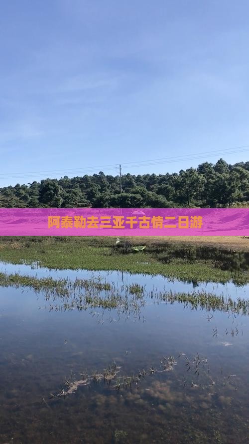 阿泰勒去三亚千古情二日游