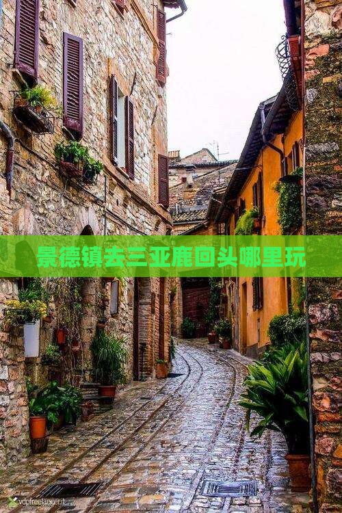 景德镇去三亚鹿回头哪里玩