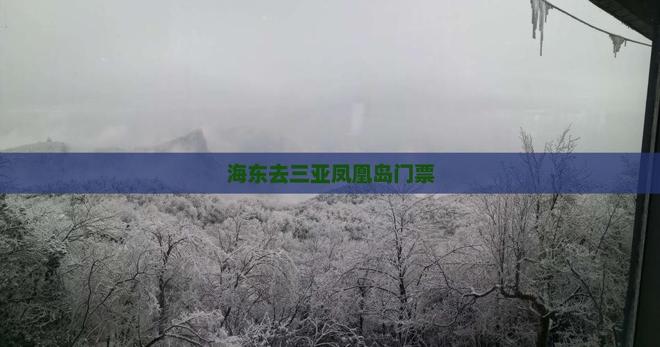 海东去三亚凤凰岛门票
