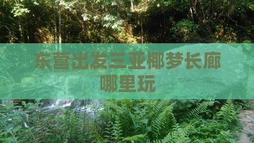 东营出发三亚椰梦长廊哪里玩