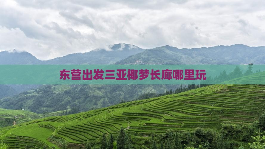 东营出发三亚椰梦长廊哪里玩