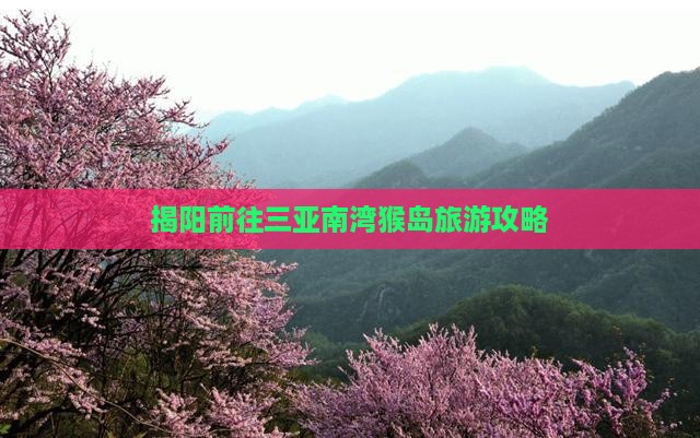 揭阳前往三亚南湾猴岛自由行