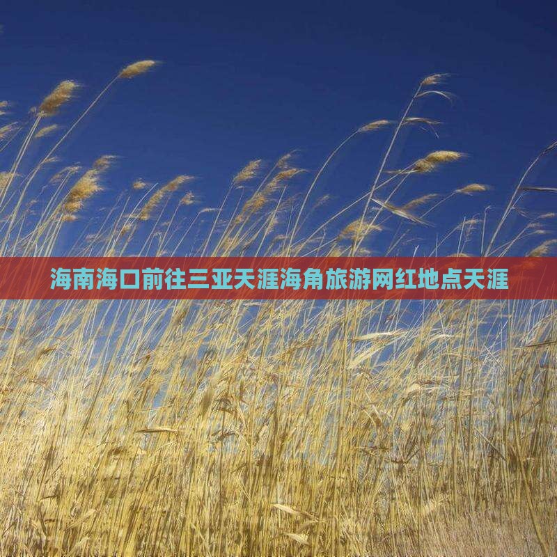 海口前往三亚天涯海角旅游网红地点