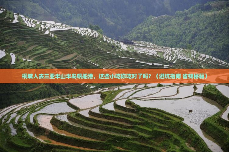 桐城去三亚半山半岛帆船港旅游小吃