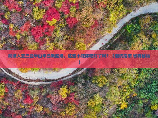 桐城去三亚半山半岛帆船港旅游小吃