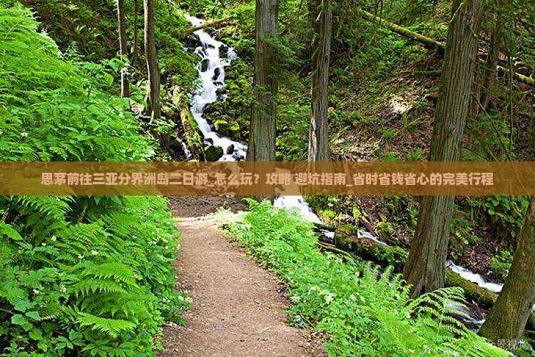 思茅前往三亚分界洲岛二日游