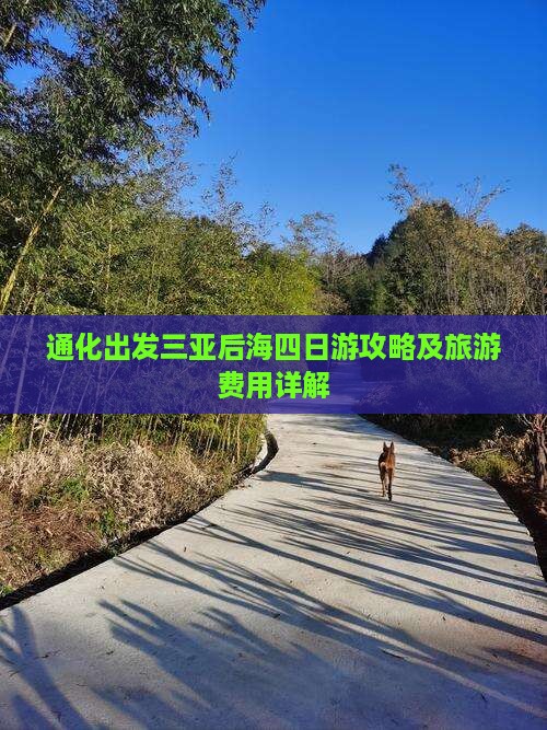 通化出发三亚后海四日游
