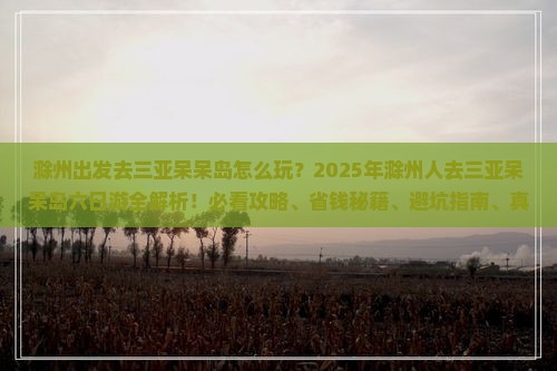 滁州前往三亚呆呆岛六日游