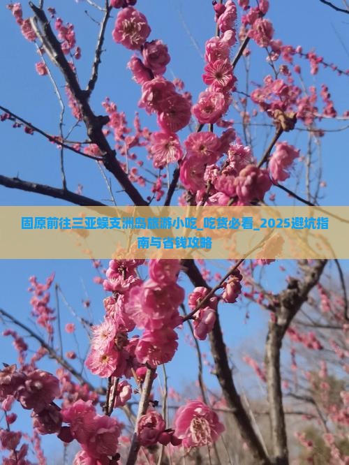 固原前往三亚蜈支洲岛旅游小吃