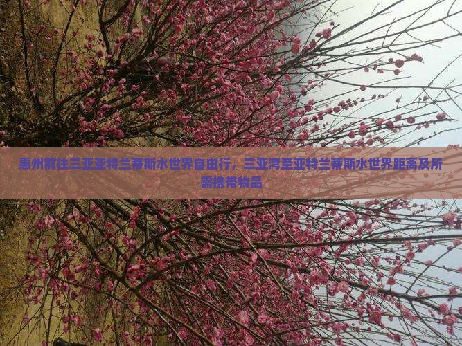 惠州前往三亚亚特兰蒂斯水世界自由行