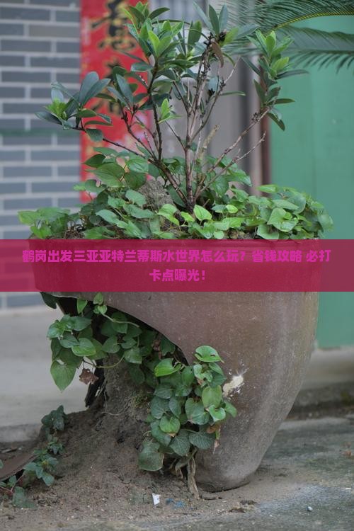 鹤岗出发三亚亚特兰蒂斯水世界旅游打卡点 鹤岗出发三亚亚特兰蒂斯水世界旅游打卡点