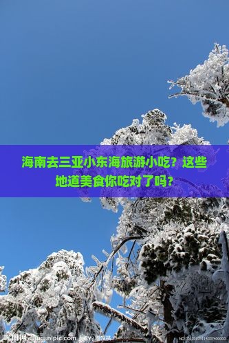 海南去三亚小东海旅游小吃