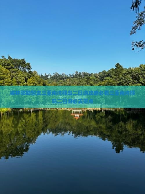 锡林郭勒盟去三亚南湾猴岛二日游