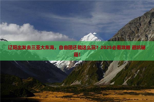 辽阳前往三亚大东海自由团