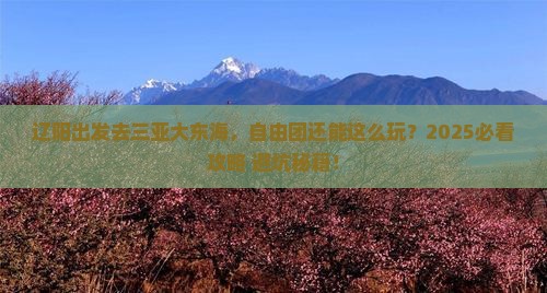 辽阳前往三亚大东海自由团