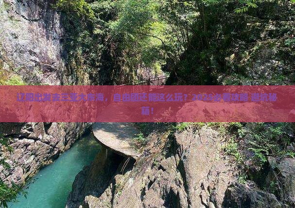 辽阳前往三亚大东海自由团