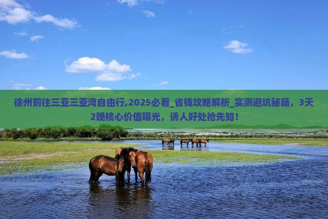 徐州前往三亚三亚湾自由行
