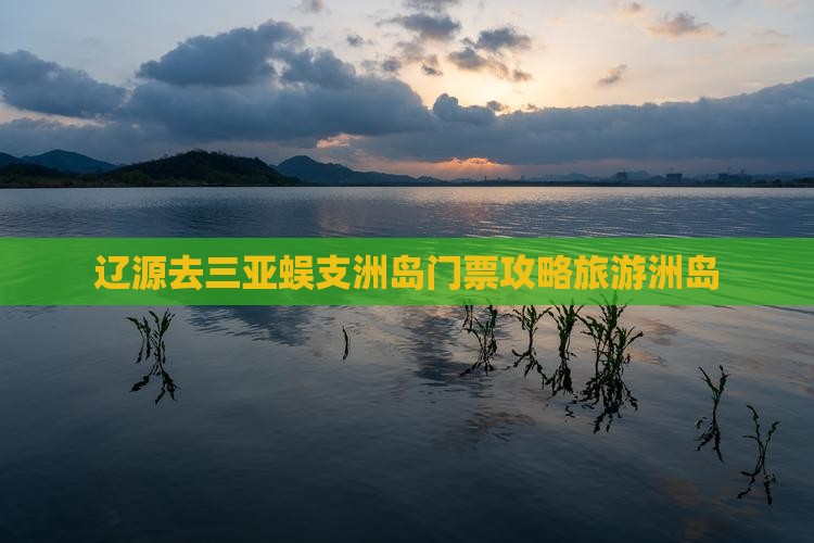 辽源去三亚蜈支洲岛门票