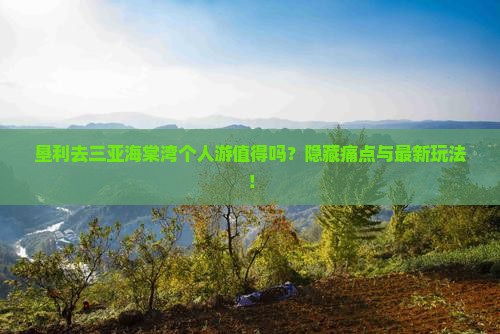 垦利去三亚海棠湾个人游