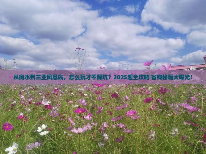 衡水前往三亚凤凰岛旅行社