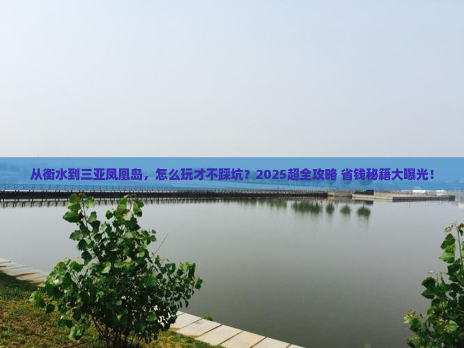 衡水前往三亚凤凰岛旅行社