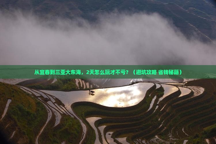 宜春去三亚大东海二日游