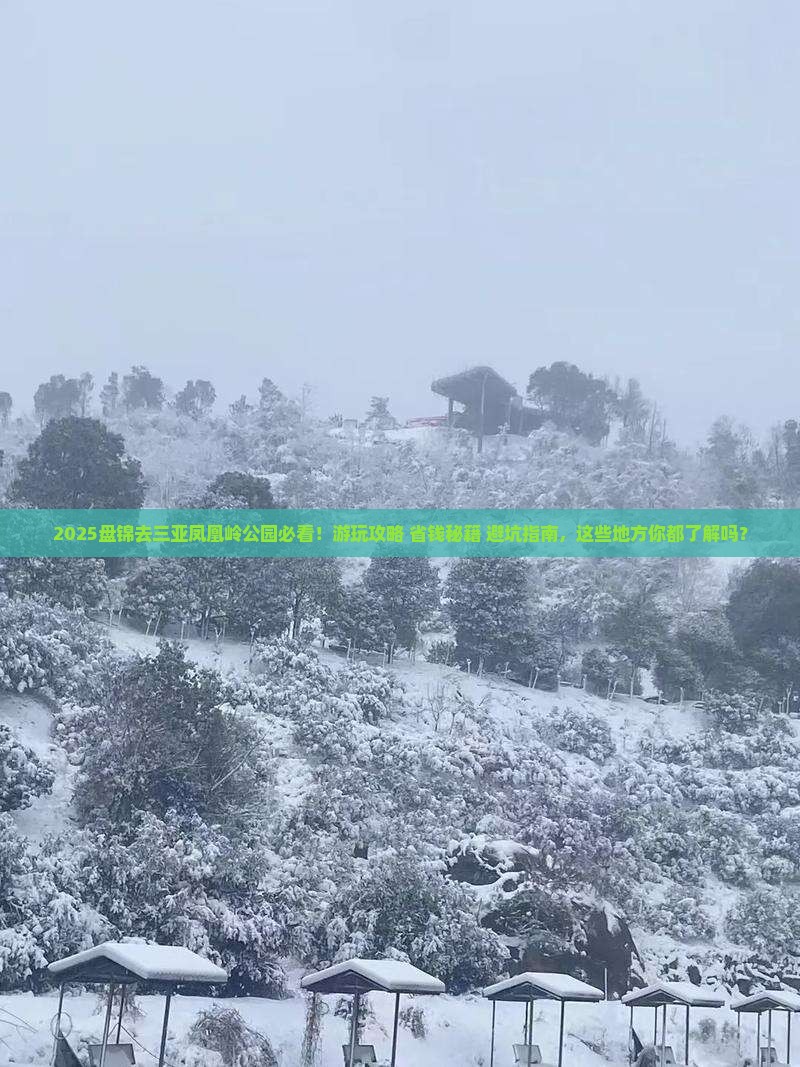 盘锦去三亚凤凰岭公园必玩地