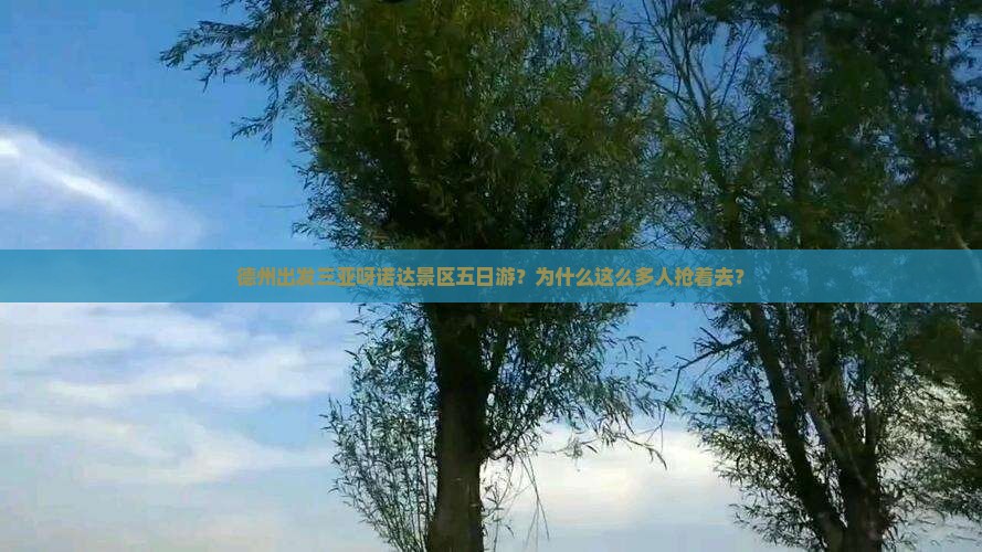 德州出发三亚呀诺达景区五日游