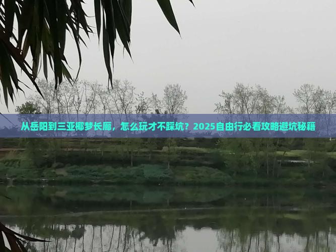 岳阳去三亚椰梦长廊自由行
