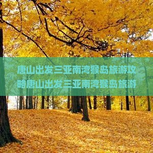 唐山出发三亚南湾猴岛旅游