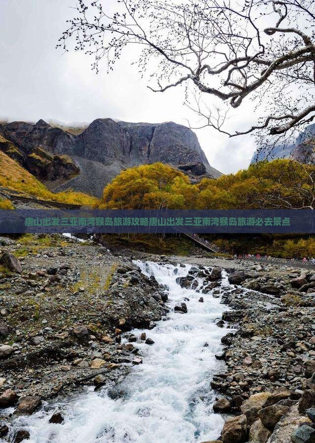 唐山出发三亚南湾猴岛旅游