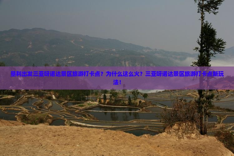 垦利出发三亚呀诺达景区旅游打卡点
