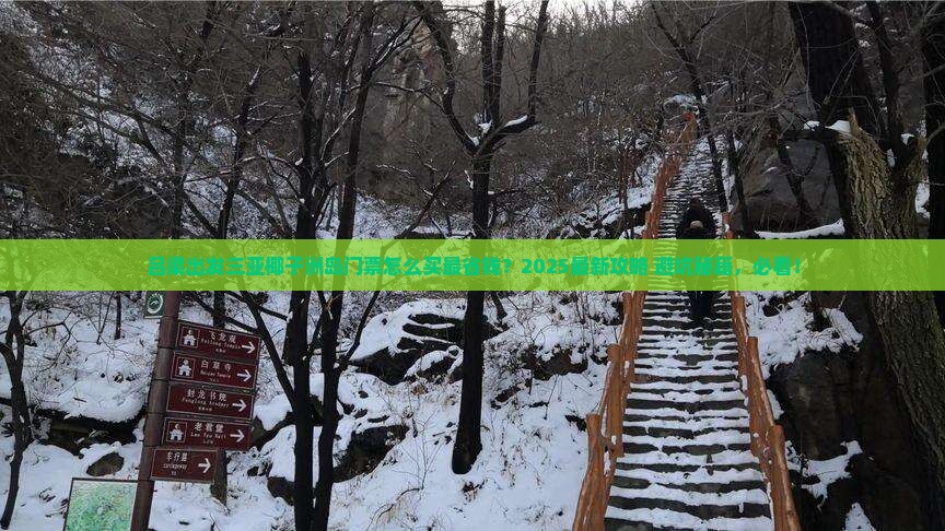 吕梁出发三亚椰子洲岛门票