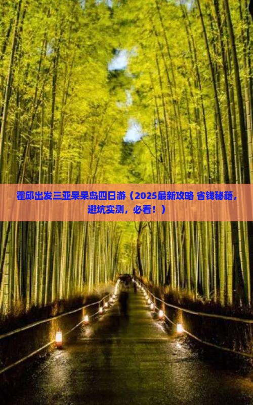 霍邱出发三亚呆呆岛四日游