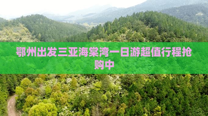 鄂州出发三亚海棠湾一日游