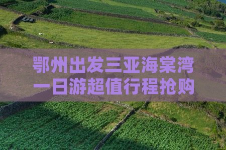 鄂州出发三亚海棠湾一日游