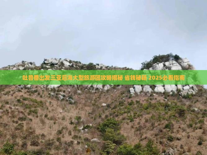 吐鲁番出发三亚后海大型旅游团