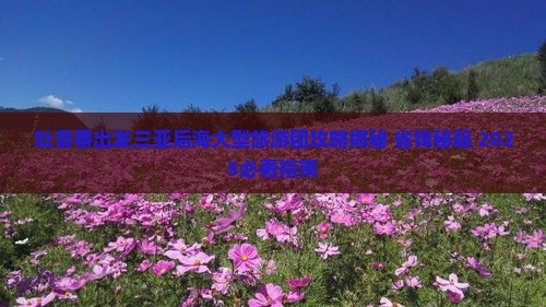 吐鲁番出发三亚后海大型旅游团
