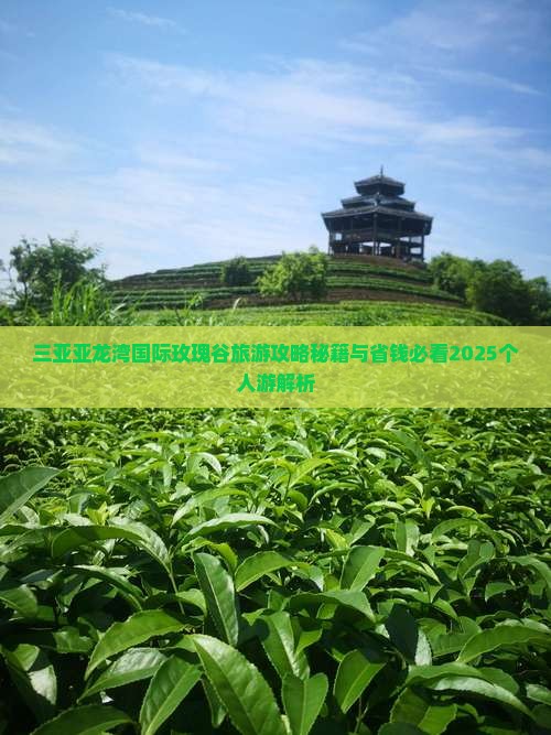 白城出发三亚亚龙湾国际玫瑰谷个人游 白城出发三亚亚龙湾国际玫瑰谷个人游