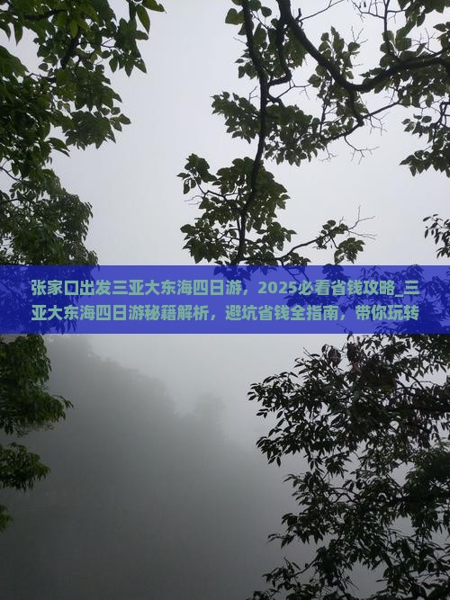 张家口出发三亚大东海四日游