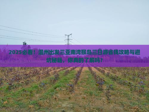 温州出发三亚南湾猴岛三日游