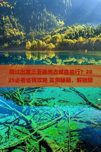 阳江出发三亚崖洲古城自由团 阳江出发三亚崖洲古城自由团