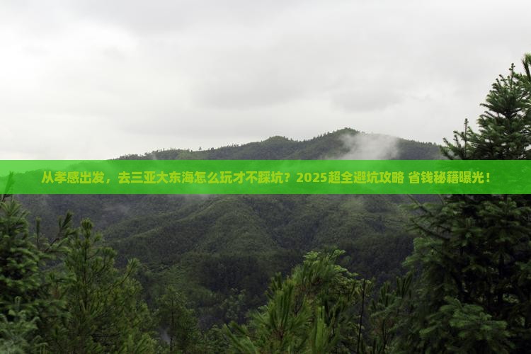 孝感出发三亚大东海旅游