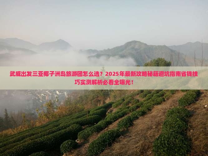 武威出发三亚椰子洲岛大型旅游团